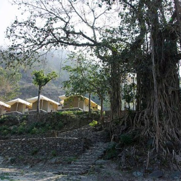 banyan-by-the-ganges